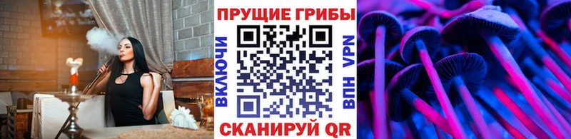 цена наркотик  мега как войти  Псилоцибиновые грибы мицелий  Нюрба 